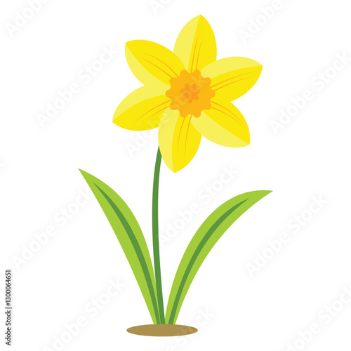 Small Yellow Daffodil Isolated on White Background