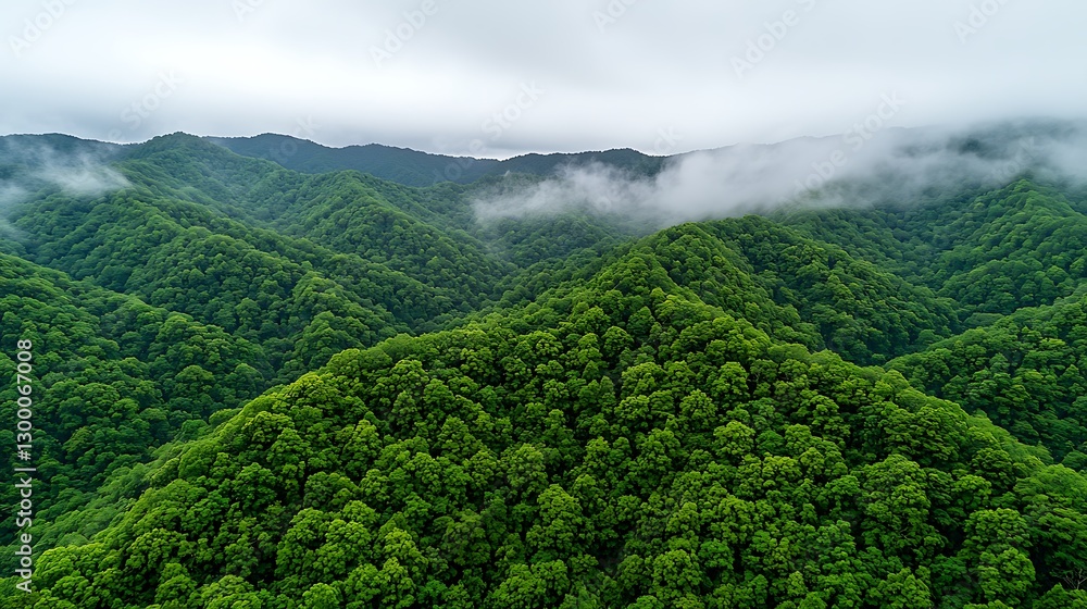 Fototapeta premium Lush Green Mountain Range Landscape Misty Forest Aerial View Nature Scenery