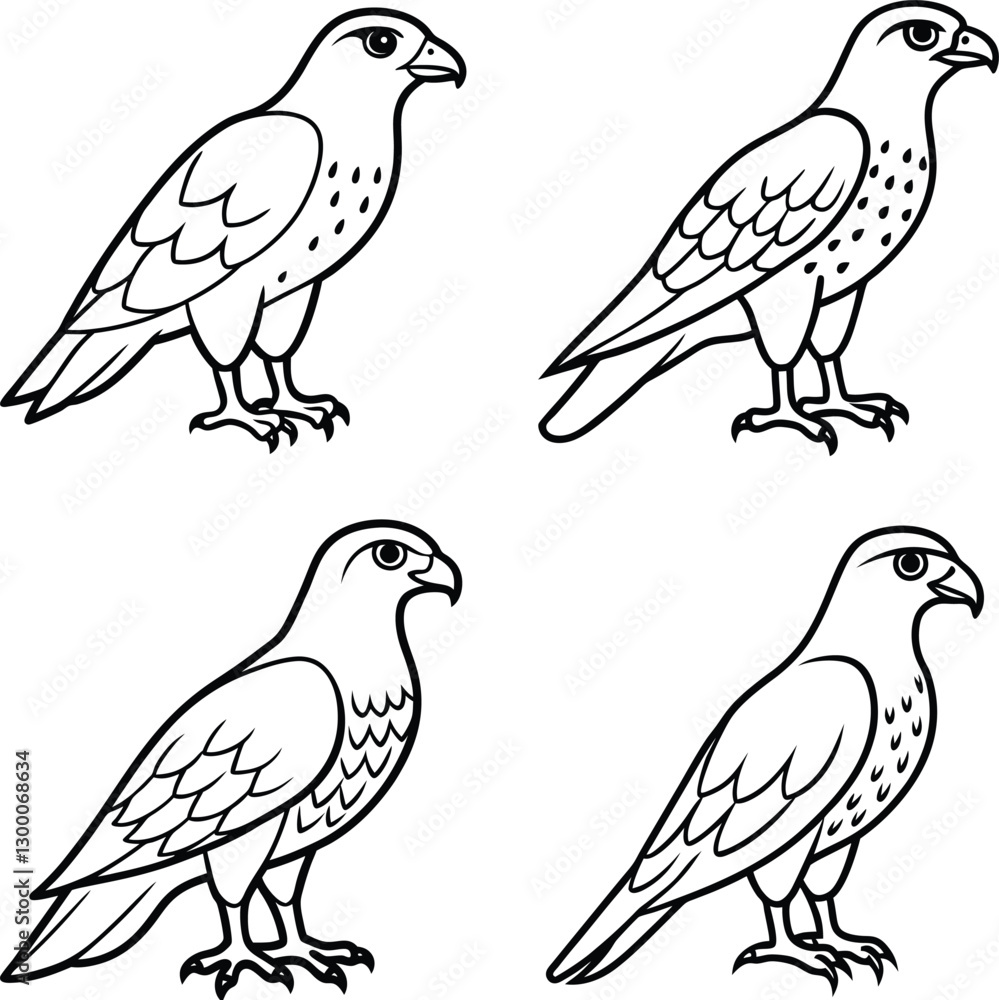 Fototapeta premium set of birds