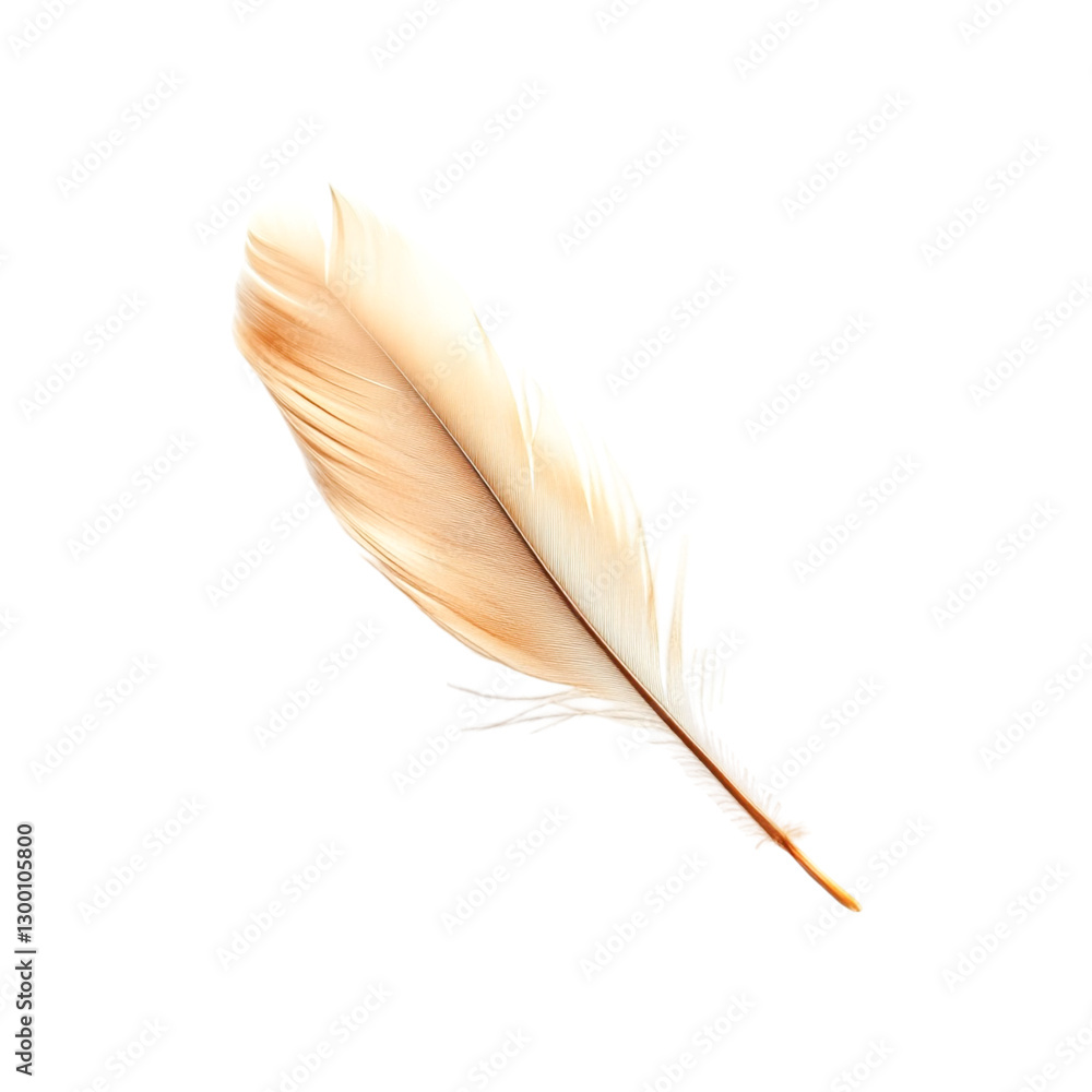 Obraz premium Delicate Pale Feather Floating Gently Softness and Lightness