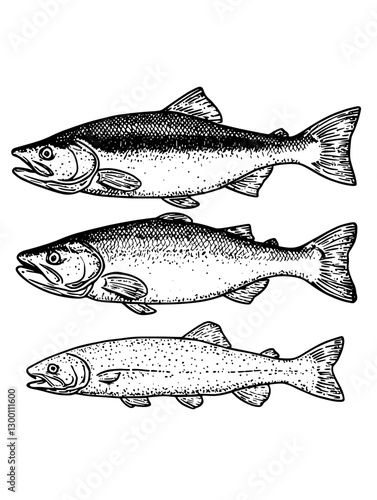 Different species of fish displayed for educational purposes in a marine biology exhibit at a science center