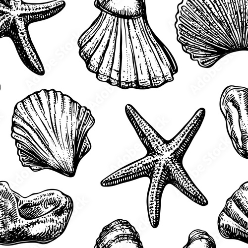 Detailed black and white illustrations of various seashells and starfish scattered across a plain background