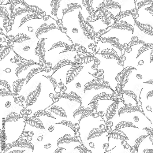 Seamless pattern Coffee plant. Coffee beans on branch. Vector illustration hand drawn. Black and white vintage style. Design for packaging.