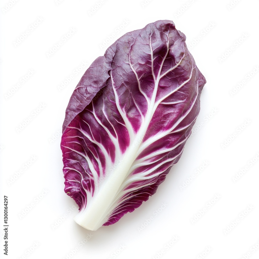 Fresh radicchio leaf showcases vibrant colors and intricate veins, perfect for salads and garnishes Fresh radicchio leaf showcases vibrant colors and intricate veins, perfect for salads and garnishes