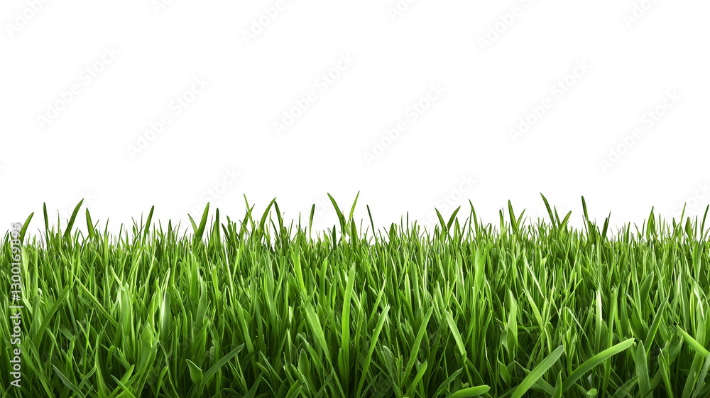 Vast green field with building, serene landscape view and natural background green Vast green field with building, serene landscape view and natural background green