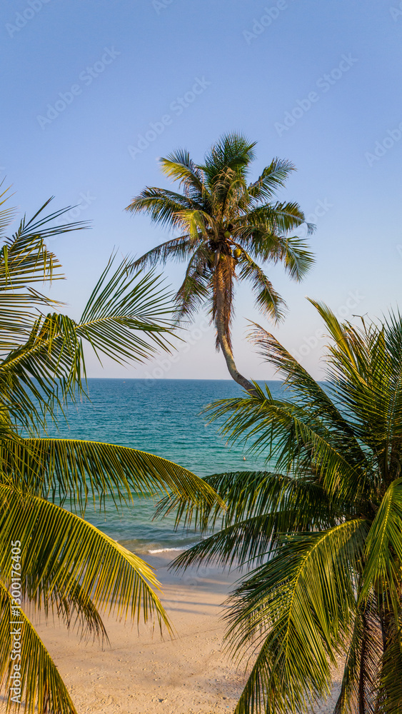Aerial of palm tree with sand tropical beach and ocean sea travel dream resort landscape Aerial of palm tree with sand tropical beach and ocean sea travel dream resort landscape
