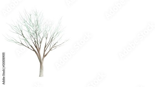 leafless tree with intricate branches stands against transparency background