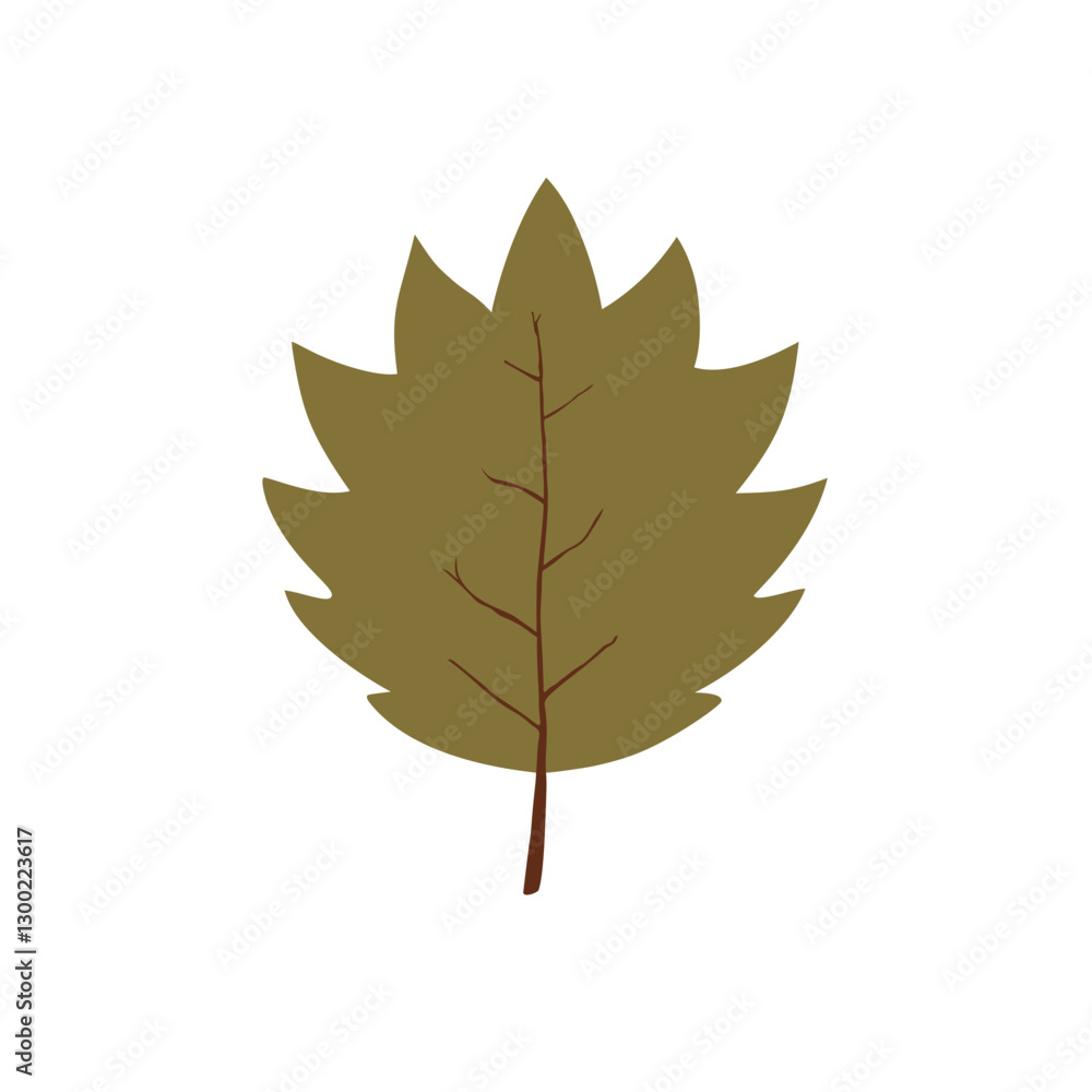 Fototapeta premium autumn leaf isolated on white
