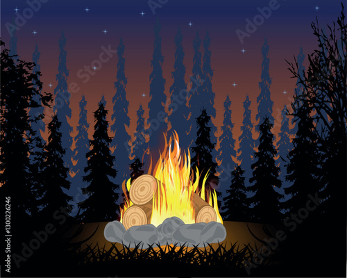 Night wood and burning campfire on glade