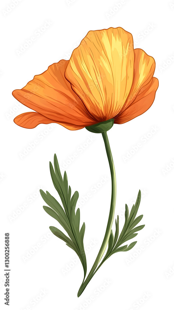 Naklejka premium Orange poppy flower, vector illustration
