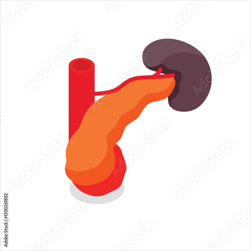 human kidney with structure vector design illustration internal icon