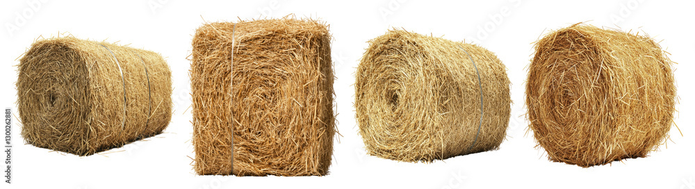 Four Bales of Hay in Various Positions Against a White Background, PNG bundle collection, Isolated on Transparent Background Four Bales of Hay in Various Positions Against a White Background, PNG bundle collection, Isolated on Transparent Background
