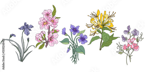 Set of hand drawn floral design elements, gorgeous Wild and garden birth month flowers with leaves. Modern vector botanical line art colored illustrations isolated