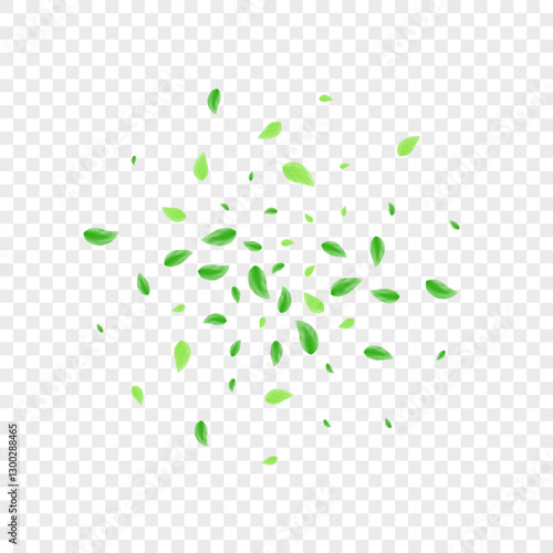 Light Green Sheet Background Transparent Vector. Leaves Selective Frame. Eucalyptus Card. Greenish Subtle Design. Foliage Drink.