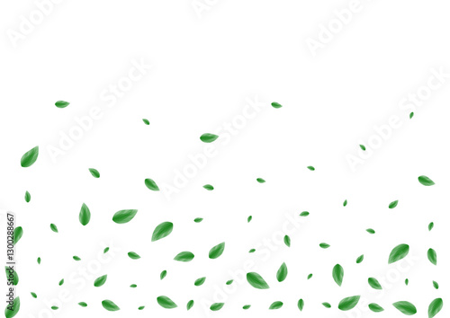 Greenish Leaves Background White Vector. Sheet Eco Card. Herbarium Illustration. Light Green Realistic Design. Plant Agriculture.