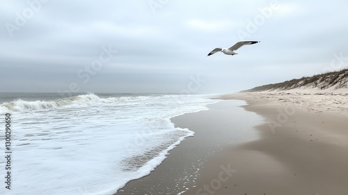 A serene, empty beach with soft waves crashing on the shore and a single seagull flying overhead.