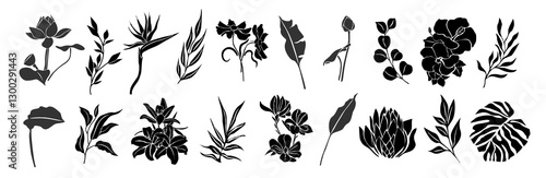 Set of black silhouettes of tropical leaves, flowers. Hand drawn elegant exotic eucalyptus, monstera leaves, lotus, birth of paradise, magnolia, hibiscus flowers. Trendy botanical vector isolated.