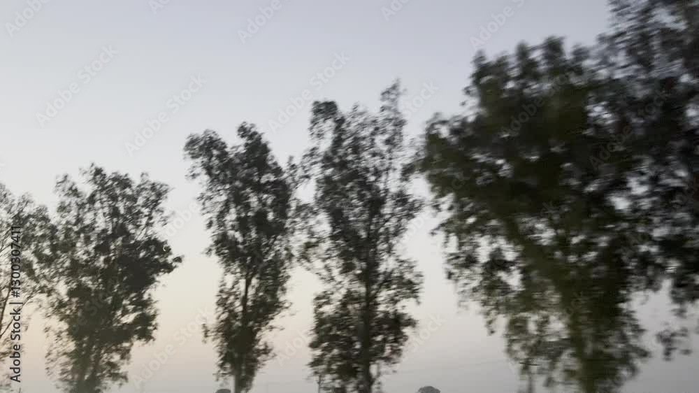 Bharatpur, India - Feb 27, 2025: - Highway with trees on both sides, trees and sky, Highway with trees. Bharatpur, India - Feb 27, 2025: - Highway with trees on both sides, trees and sky, Highway with trees.