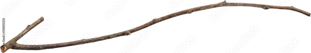 Dry tree branches isolated on white background Dry tree branches isolated on white background