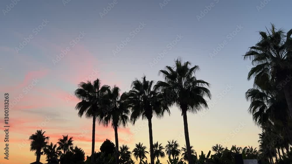 A beautiful pink sunset with silhouettes of palm trees swaying gently in the wind against the sky. A beautiful pink sunset with silhouettes of palm trees swaying gently in the wind against the sky.