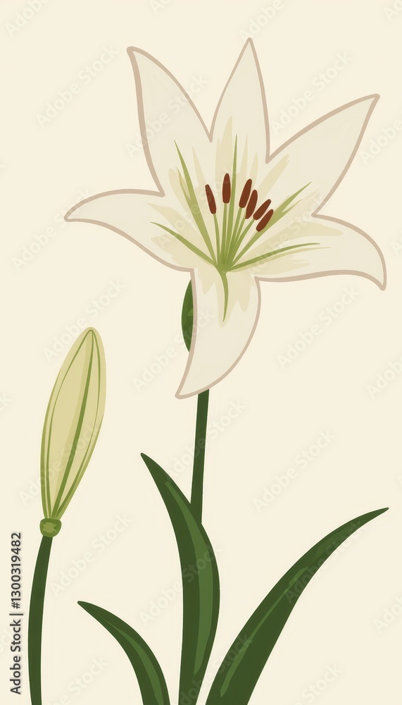 Obraz premium Elegant white lily blossom illustration on light background, purity