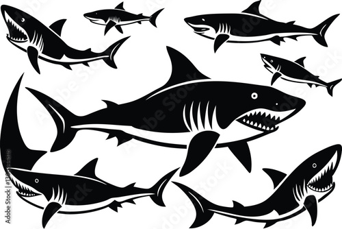 Great Shark vector on Isolated Background