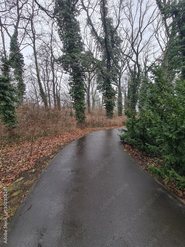 Fototapeta premium Parc In Berlin Treptow After Rain