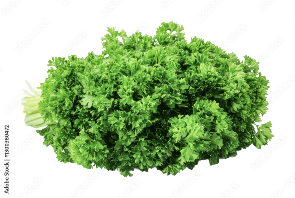 Fresh parsley bunch perfect for enhancing dishes and garnishes at home or in culinary creations, cut out Fresh parsley bunch perfect for enhancing dishes and garnishes at home or in culinary creations, cut out