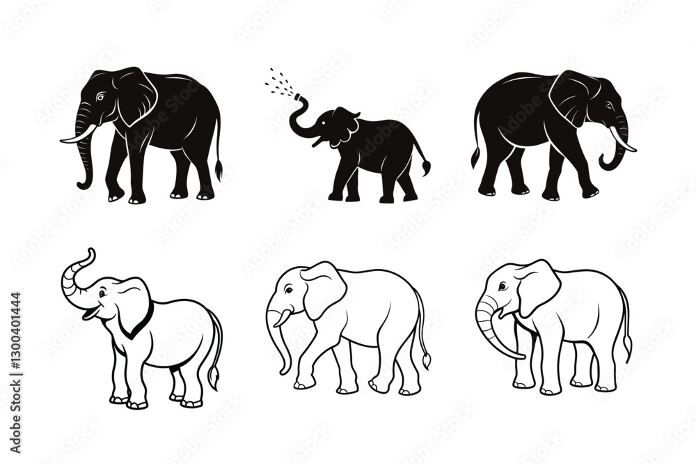 Obraz premium wild Elephant collection