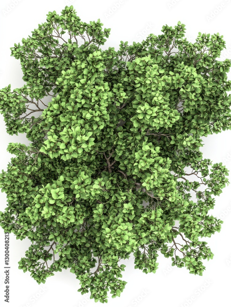 Fototapeta premium Lush green tree top view