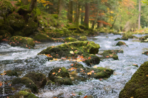 Mossy stones and river in dark forest