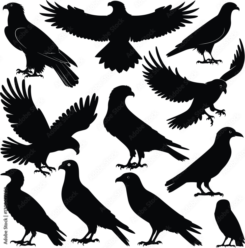 Fototapeta premium Bird Silhouettes Vector Illustration – Crow, Raven, and Eagle Clipart Set