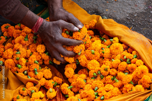 India. Rajasthan. Jaipur. Flower market. Hands carefully arrange vibrant orange marigold flowers, commonly used in Indian rituals, festivals and decorations