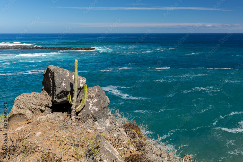 Fototapeta premium Panorama costiero con onde e schiuma