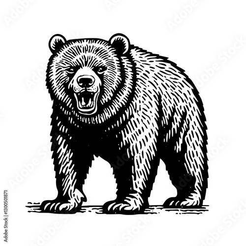 Detailed vector engraving of a fierce bear standing on an outdoor terrain with a primal expression during daylight hours