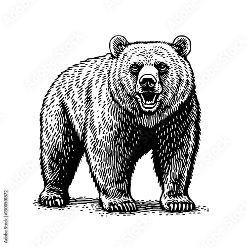Engraved illustration of a grizzly bear standing confidently in its natural habitat, highlighting its prominent features