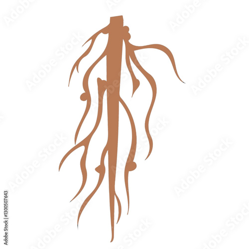 alfalfa roots isolated medicago sativa roots ilustration cartoon design