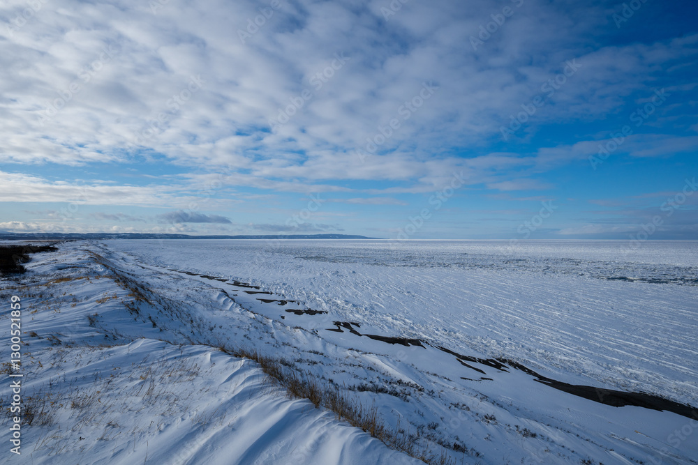 Obraz premium winter landscape with snow and drift ice in Hokkaido japan 