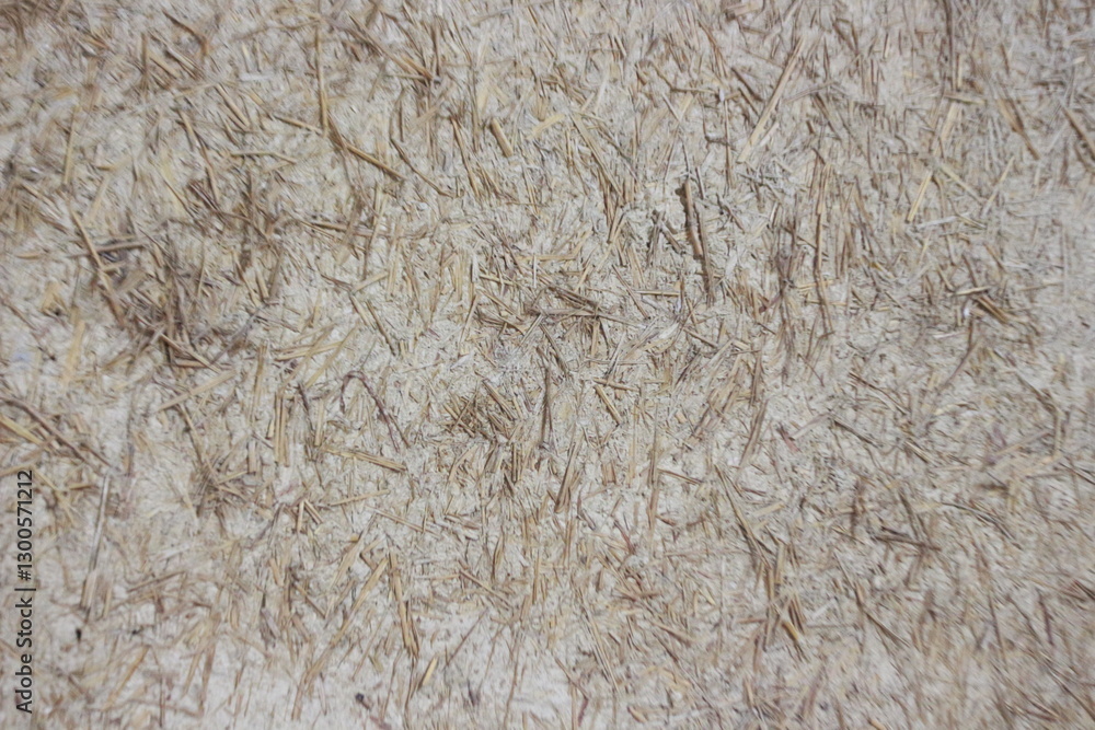 Texture of Eco-Friendly Plaster: Detailed close-up of an eco-friendly wall plaster, showing natural fibers and textures. Capturing the essence of sustainability and organic building materials. Texture of Eco-Friendly Plaster: Detailed close-up of an eco-friendly wall plaster, showing natural fibers and textures. Capturing the essence of sustainability and organic building materials.