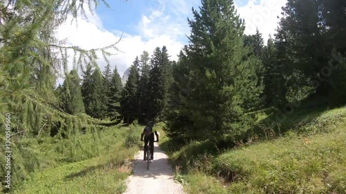 A rider speeds downhill on a narrow path cutting through the pine forest, the sunlight catching glimpses of motion between trees.