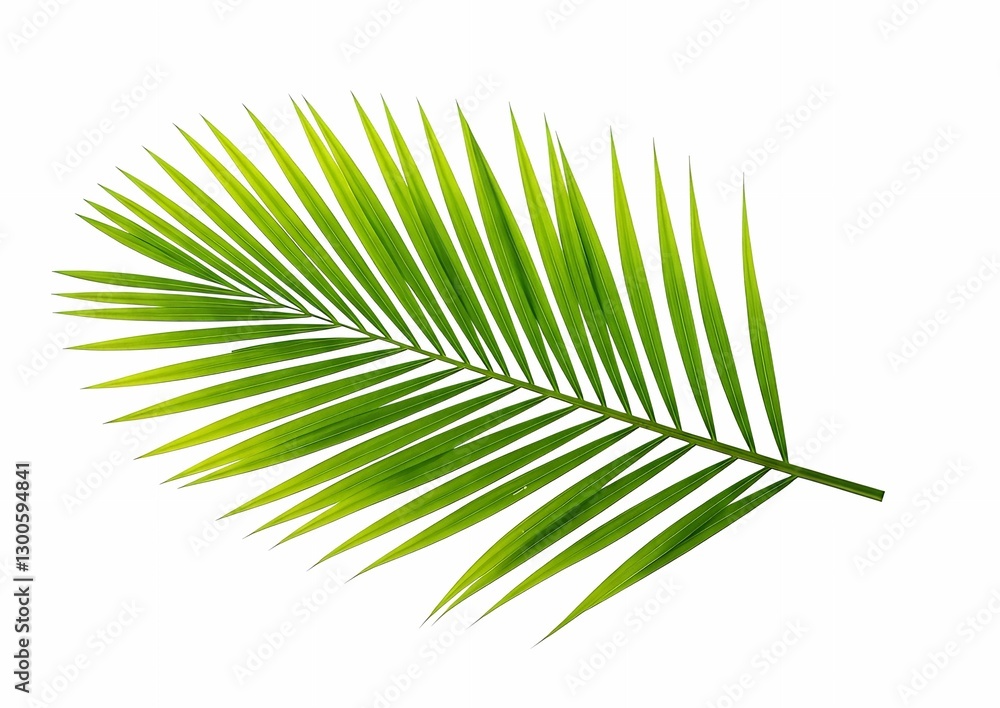 Obraz premium Lush Green Palm Leaf