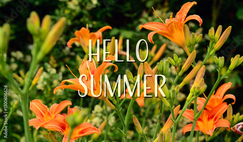 Beautiful orange lily flowe...