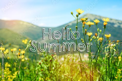 Yellow flowers on meadow in...