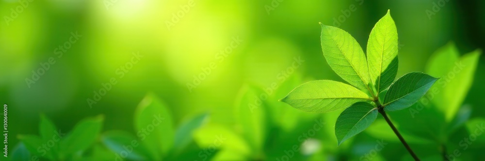 Fototapeta premium Vibrant green foliage, fresh spring leaves, sunlight dappled, garden, growth
