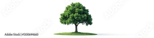 Dense foliage surrounds a solitary tree on white background, trunk, serenity, nature