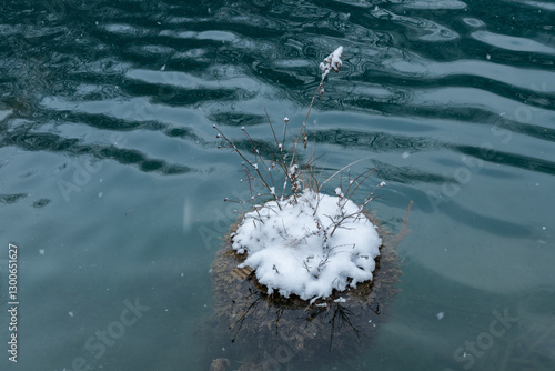 Frozen ice snow on the water
