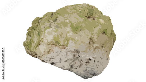 Rock covered with algae