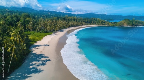 A pristine tropical beach framed by lush palm trees, turquoise waves gently rolling onto the white sandy shore under a clear blue sky