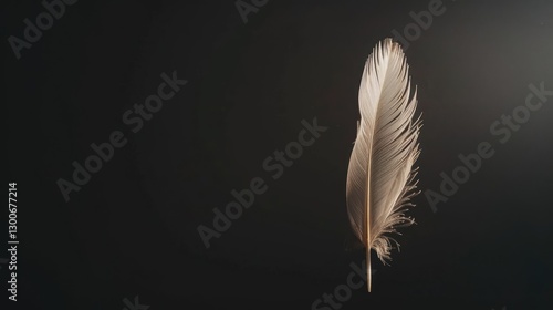 A delicate, softly lit feather suspended against a dark background, symbolizing lightness and tranquility