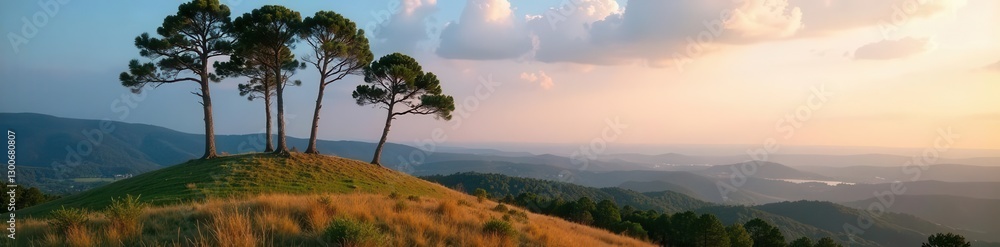 Five pines stand sentinel on a North Carolina hilltop clearing , untamed, appalachian mountains, outdoors Five pines stand sentinel on a North Carolina hilltop clearing , untamed, appalachian mountains, outdoors
